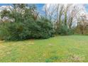 Expansive backyard with lush green grass, perfect for outdoor activities and relaxation at 234 Marshall St, Rock Hill, SC 29730