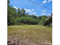 View of the spacious grassy front yard featuring mature trees and surrounding foliage at 4724 Pottery Rd, Catawba, SC 29704