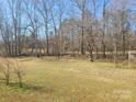 Grassy backyard with large trees on property line at 1638 Bess Town Rd, Bessemer City, NC 28016
