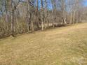 Sparse grasses on property line, and a view of the forest beyond at 1638 Bess Town Rd, Bessemer City, NC 28016
