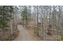 View of long gravel driveway leading to a charming home nestled in a wooded setting at 369 Falcon Dr, Concord, NC 28025