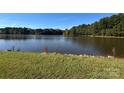 Lakeside view features a grassy shoreline at 13828 Lake Bluff Dr, Matthews, NC 28105