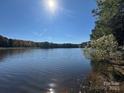 View of the lake features reflections of trees at 13828 Lake Bluff Dr, Matthews, NC 28105