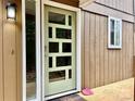 Modern front door with glass panels and light fixture, accented by charming exterior details at 9009 Cebu Ct, Fort Mill, SC 29708