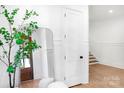 Hallway with light wood flooring, a decorative tree, and a framed mirror, leading to a staircase at 302 Marsh Rd, Charlotte, NC 28209