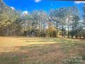 Spacious backyard with mature trees and shed offering room for recreation and relaxation at 14818 Hooks Rd, Matthews, NC 28105