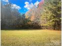 Large wooded backyard with a mix of evergreen and deciduous trees, offering privacy and natural beauty at 14818 Hooks Rd, Matthews, NC 28105