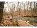 Creek flowing amidst trees, showcasing a natural and picturesque landscape at 351 York Spann Rd, Hamptonville, NC 27020