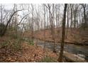 Idyllic creek view surrounded by wooded terrain, perfect for nature enthusiasts at 351 York Spann Rd, Hamptonville, NC 27020