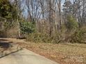 Unkept side yard with mature trees and overgrown landscaping, potential for creating a natural retreat at 128 Trexler Ave, Mount Holly, NC 28120