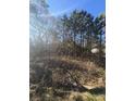 Image of a vacant land for sale featuring mature trees and natural undergrowth at 4115 James Lovelace Rd, Shelby, NC 28152