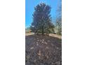 Large tree featured in the front yard at 1116 Medlin Rd, Monroe, NC 28112
