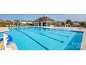 Beautiful community pool with lounge chairs and umbrellas, perfect for hot summer days at 1949 Vanderlyn St, Monroe, NC 28112