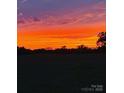 Scenic sunset view over tree line at 2504 Hovis Rd, Lincolnton, NC 28092