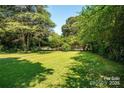 Expansive backyard offers a peaceful setting with its well-maintained lawn and backdrop of mature trees at 2250 Arnold Dr, Charlotte, NC 28205