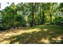Large backyard with plenty of room for recreation and relaxation, surrounded by mature trees and greenery at 2250 Arnold Dr, Charlotte, NC 28205
