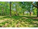 Expansive grassy field with mature trees, offering a serene and natural setting at 1330 College Ave, Shelby, NC 28152