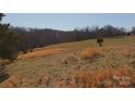 View of grass land featuring an old wooden fence and sparse trees and shrubs against a backdrop of wooded countryside at 2137 Old Latter Rd, Newton, NC 28658