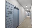 Hallway featuring carpet, modern lighting, and muted blue doors with unit number 213 at 2401 Euclid Ave # 213, Charlotte, NC 28203