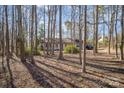 Single-story home set among tall trees with plenty of natural light and privacy at 6817 Fieldlark Ln, Charlotte, NC 28227