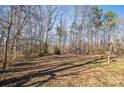 Spacious and private backyard perfect for outdoor activities and relaxation surrounded by lush greenery and mature trees at 8080 Monbo Rd, Catawba, NC 28609