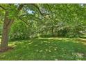 Large grassy backyard with mature trees and lush greenery providing privacy at 237 Mcneely Ave, Mooresville, NC 28115