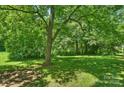 Spacious backyard featuring a large tree with ample shade coverage, and lush greenery at 237 Mcneely Ave, Mooresville, NC 28115