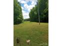 Expansive backyard featuring a large lawn and surrounding mature trees at 607 Anthony Grove Rd, Crouse, NC 28033