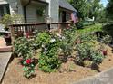 Front yard displaying the manicured landscaping at 1220 Nw 20Th Avenue Nw Ave, Hickory, NC 28601