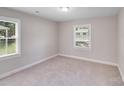 Comfortable bedroom featuring neutral colors, soft carpet, and abundant natural light from large windows at 2328 Edison St, Charlotte, NC 28206