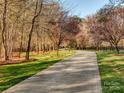 Scenic driveway lined with mature trees and lush landscaping at 235 Blue River Rd, Clover, SC 29710