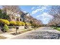 A serene tree-lined street showcases beautiful homes with manicured lawns and blossoming trees in a quiet residential neighborhood at 415 Vintage Hill Ln, Huntersville, NC 28078