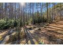 Path to a backyard with seating surrounded by trees and lush landscaping at 4893 River Hills Dr, Denver, NC 28037