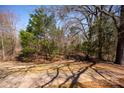 A picturesque view of a wooded lot with lush trees and a bright, sunny sky overhead at 8328 Victoria Lake Dr, Waxhaw, NC 28173