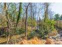 Scenic creek running along the property's border offers a tranquil natural setting at 1310 Seneca Pl, Charlotte, NC 28209