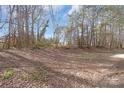 Large backyard with trees and blue skies at 207 American Dr, Salisbury, NC 28147