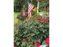 Landscaped front yard featuring vibrant red roses, American flag, and bird feeder at 4805 Nesbit Rd, Monroe, NC 28112