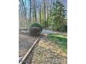 Spacious backyard surrounded by mature trees with a paved driveway and grassy area at 1049 7Th Ne St, Hickory, NC 28601