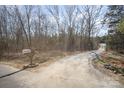 View of driveway leading to a home featuring mailbox at roadside at 620 Debruhl Rd, Chester, SC 29706