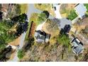 Aerial shot of a house nestled among mature trees and lush landscaping in a serene setting at 7306 Timbercreek Ct, Denver, NC 28037