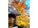 Log home with orange trees next to a roof and gutter that are lined with fall leaves at 5912 Potter S Rd, Waxhaw, NC 28173