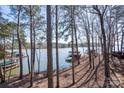 Picturesque lake view through the trees showcasing waterfront living with docks and natural beauty at 604 Fairway Shores Rd, Mount Gilead, NC 27306