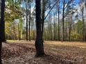 View of the property lot, featuring a tranquil wooded area with many tall trees and leaves scattered around the floor at 325 Spring Oak Dr, Salisbury, NC 28147