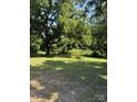 Picturesque backyard featuring a large tree providing shade and natural beauty at 5949 Flat Creek Rd, Kershaw, SC 29067