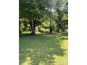 Spacious backyard with lush greenery and mature trees offering shade at 5949 Flat Creek Rd, Kershaw, SC 29067