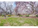 Quaint brick home with mature trees, flowering magnolias, and lush green lawn at 9534 Markus Dr, Mint Hill, NC 28227