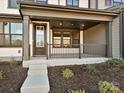 Inviting front porch of a townhome with dark trim, modern railing, and stylish entryway at 209 Halemarg Dr, Belmont, NC 28012