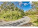 Picturesque driveway leading to a secluded home surrounded by nature and greenery at 2331 Gill Jordan Rd, Chester, SC 29706