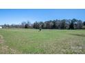 Expansive green field offers plenty of space and potential at 114 Tr Foster Rd, Kings Mountain, NC 28086