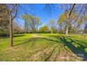 Expansive grassy lot with mature trees and a sunny, clear sky, offering ample space for building or recreation at 121 N Congress St, York, SC 29745